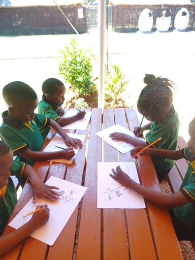 Numeracy Development